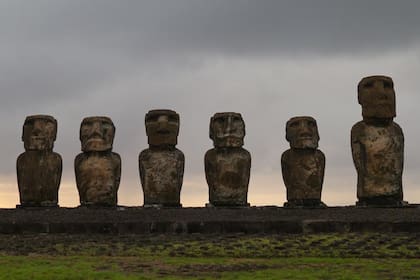 Los famosos moái, estas gigantescas esculturas antropomórficas, son también herencia de los rapanui