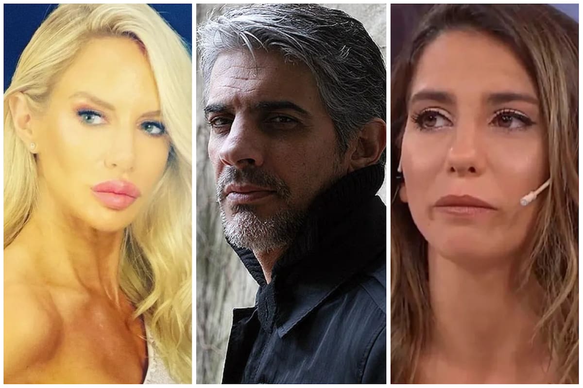 Los famosos reaccionaron tras el intento de asesinato a Cristina Kirchner (Foto: Instagram @salazarluli / Mariana Araujo - Archivo / Captura de video)