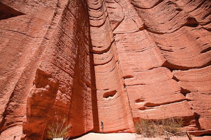 Los farallones del Parque Nacional Talampaya.