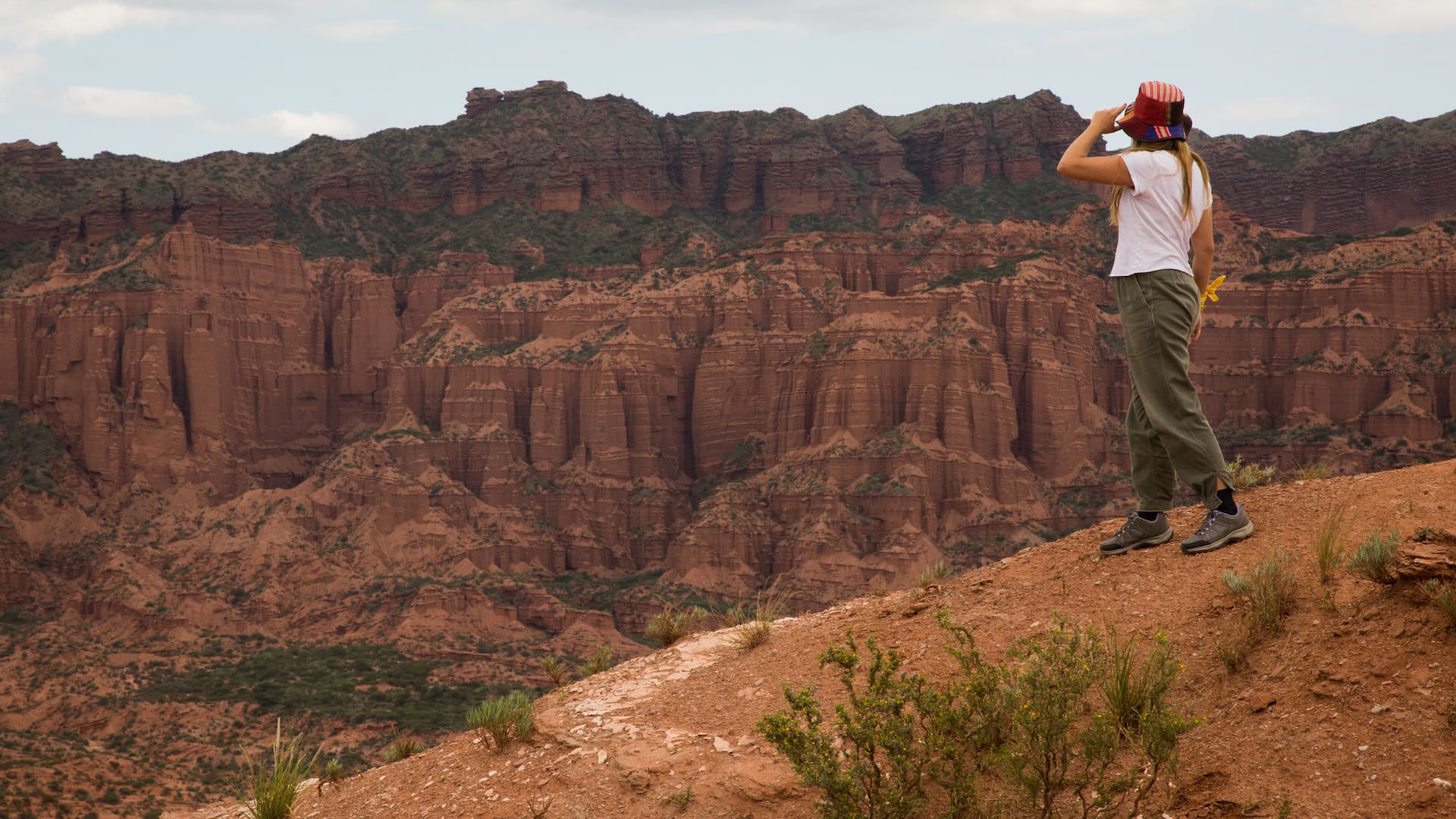 El Parque Nacional protege 75.000 hectáreas de un ecosistema que está entre chaco semiárido y monte.
