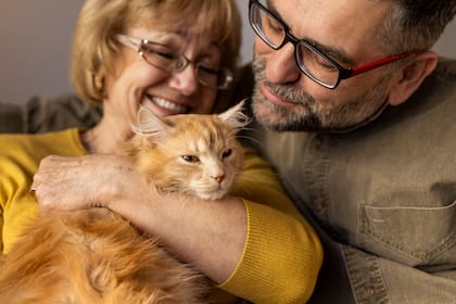 Los felinos mostraron un estado de alerta similar frente a diferentes vocalizaciones humanas (Foto: Freepik)