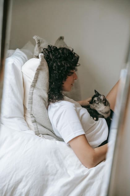 Los felinos tienen una gran predilección por lugares cálidos, y el cuerpo humano es una excelente fuente de calor para ellos