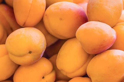 Los flavonoides benefician al corazón y la memoria