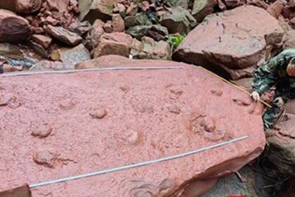 Los fósiles se encuentran en piedra arenisca roja (Foto: Global Times)
