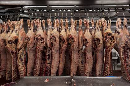 Los frigoríficos de Buenos Aires tienen el 57% de la cuota, los de Santa Fe el 27% y los de Córdoba 3%, entre otras provincias