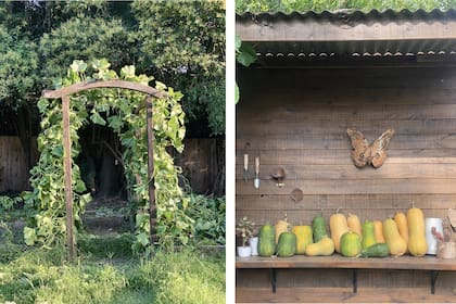 Los frutos de la huerta