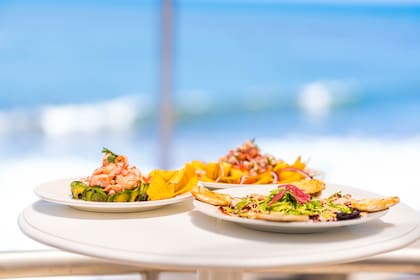 Los frutos de mar son una buena opción para el menú en la costa