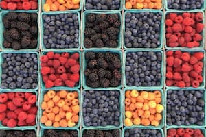Los frutos rojos son un aliado para fortalecer el organismo