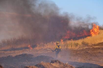 Los fuegos en los que se quema vegetación son los más frecuentes, pero también hay incendios sin llamas