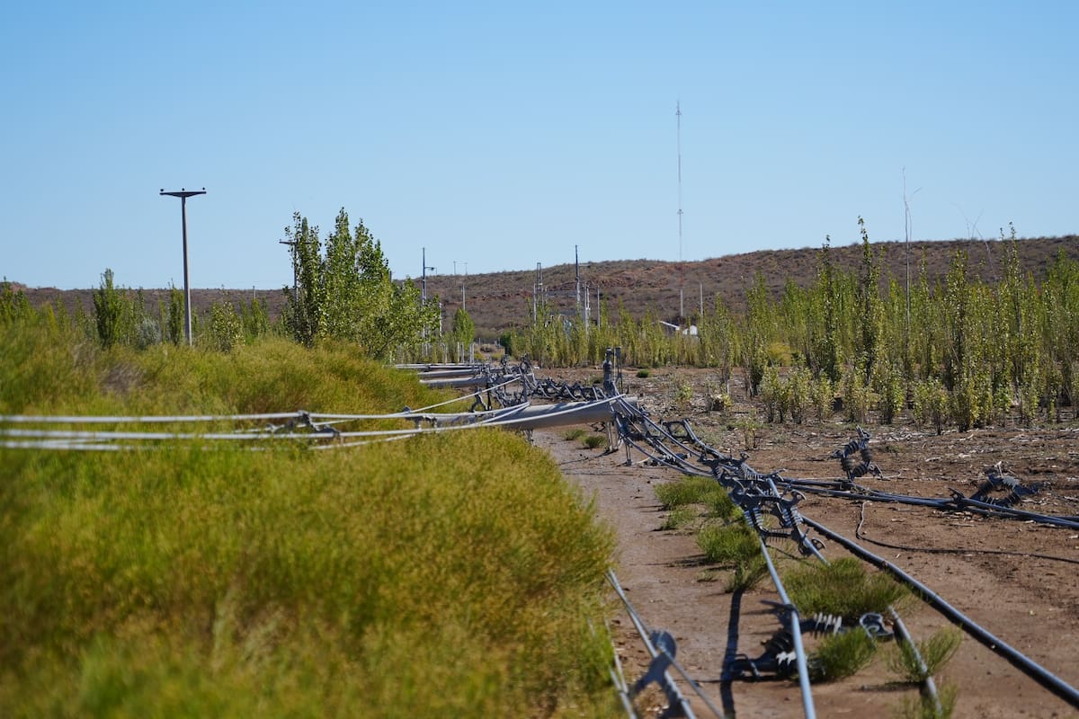 Los fuertes vientos provocaron la caída de la red eléctrica en la ciudad de Allen
