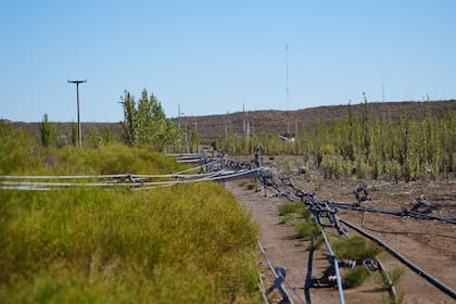 Los fuertes vientos provocaron la caída de la red eléctrica en la ciudad de Allen