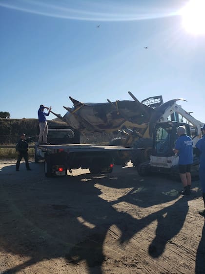 Los funcionarios de distintas dependencias tardaron unas seis horas en retirar la orca del mar