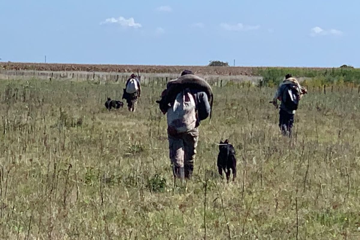 Los galgueros ingresan ilegalmente a los campos