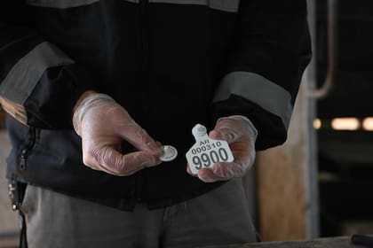 Los ganaderos aseguran que el nuevo esquema no mejora los índices productivos y que traslada el gasto únicamente al productor de cría