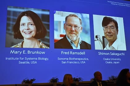 Los ganadores del Premio Nobel de Medicina 2025
(Claudio Bresciani/TT News Agency via AP)