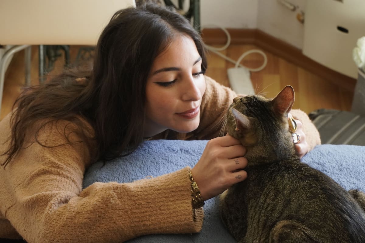 Los gatos eligen a su dueño favorito, enterate cómo