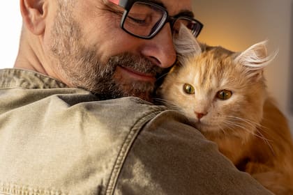 Los gatos se muestran más cercanos a los hombres que a las mujeres