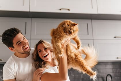Los gatos tendrían una preferencia por los hombres