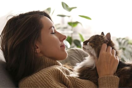 Los gatos tienen una personalidad única: todo lo que hay que saber antes de convivir con ellos