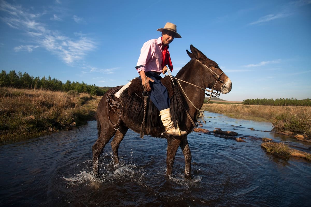 Los gauchos de Brasil
