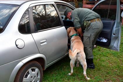 Los gendarmes utilizaron perros adiestrados para descubrir la droga