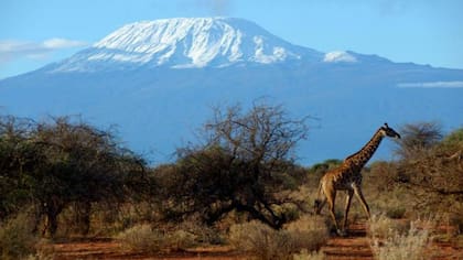 Los glaciares que cubren el Kilimanjaro en Tanzania desaparecerán para 2050