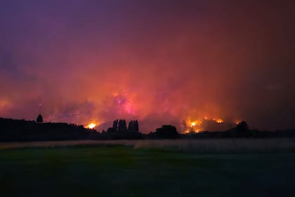 Los gobernadores de la región sur solicitaron asistencia federal para frenar el avance de las llamas sobre el bosque nativo