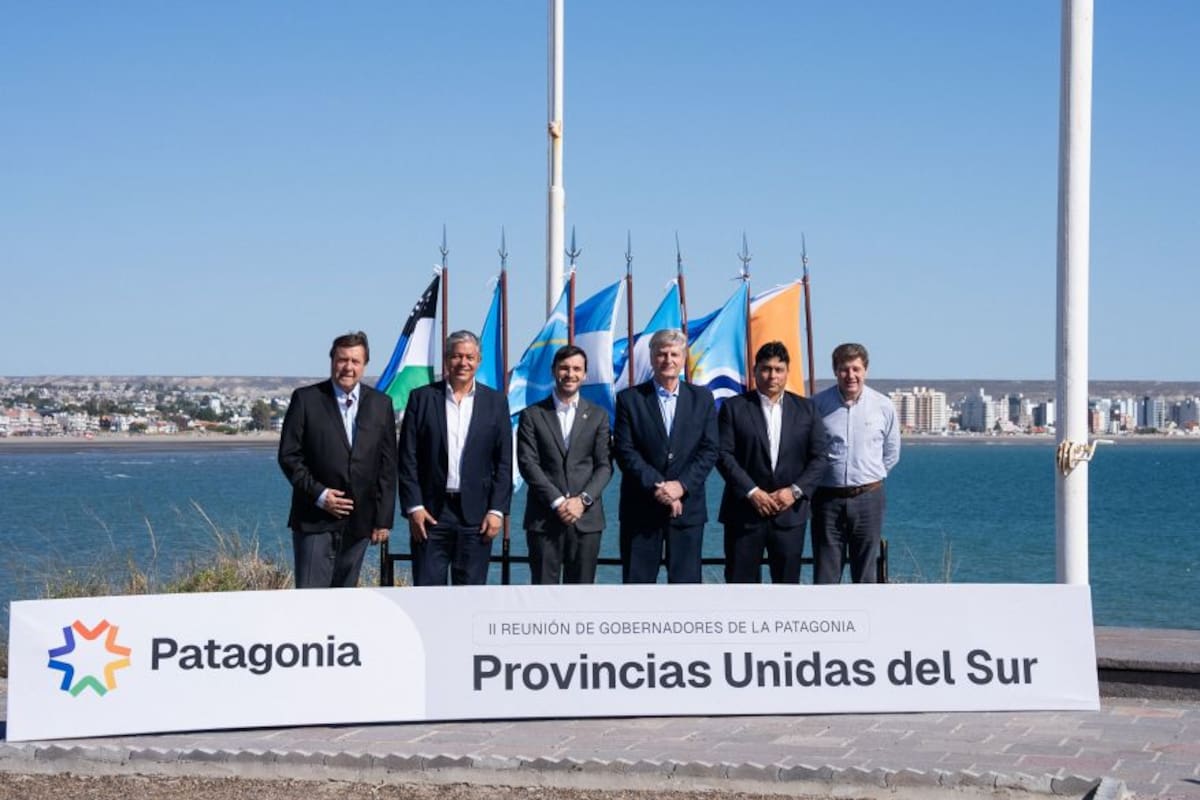 Los gobernadores de Río Negro, Neuquén, Chubut, La Pampa, Santa Cruz y Tierra del Fuego sellaron una alianza que la escenificaron en la votación en el Senado