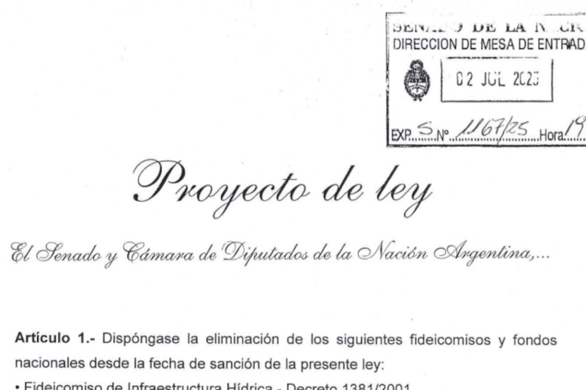 Los gobernadores presentan un proyecto de ley que pone en apuros al Gobierno