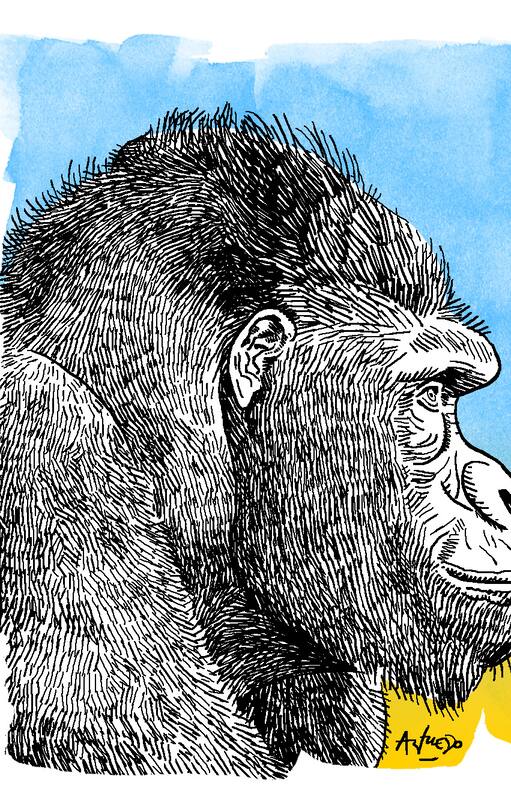 Los Gorilas y el Peronismo