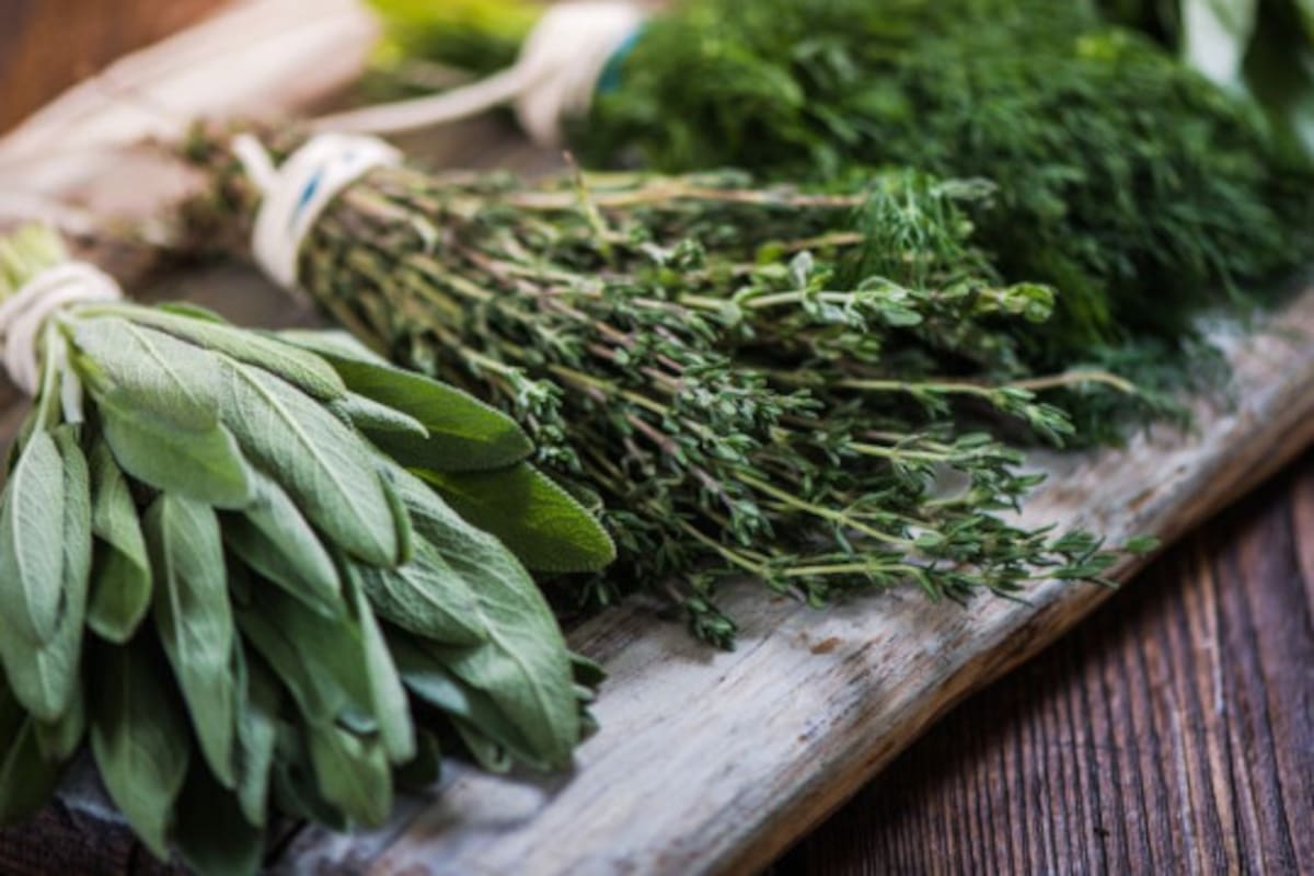 Los grandes beneficios de esta hierba para la salud (Foto: IStock)