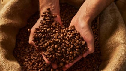 Los granos de café serían ricos en antioxidantes
Foto: iStock