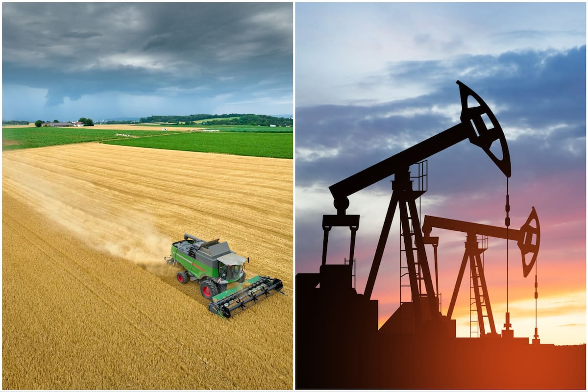 Los granos no están acompañando la suba del precio del petróleo