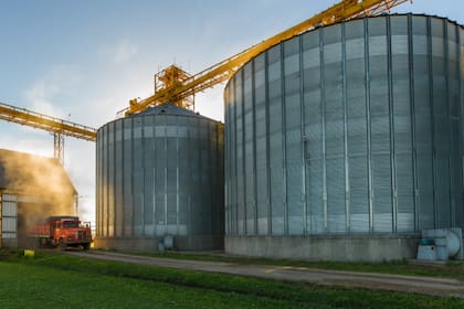 Los Grobo Agropecuaria está en concurso de acreedores desde febrero pasado