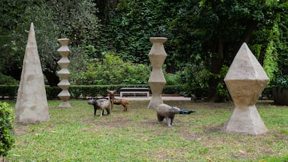 Los guardianes - Segunda Mención Casa FOA 2022 al Paisajismo