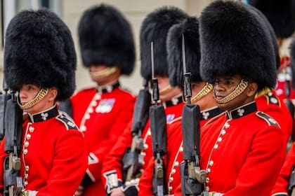 Los guardias y la curiosidad del origen de sus cascos
Foto: Shutterstock