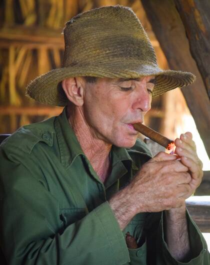 Los habanos son producción y forma de vida para los cubanos.