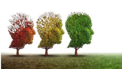 Los hábitos cotidianos entre los 40 y los 60 años pueden influir en el envejecimiento del cerebro