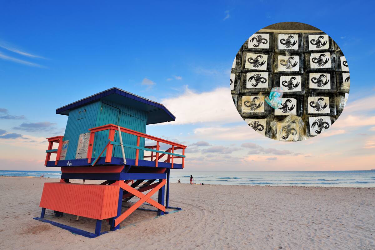 Los hallazgos de cocaína en la zona costera son recurrentes en Florida