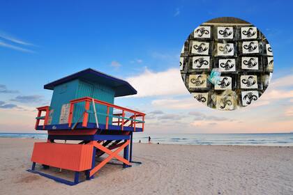 Los hallazgos de cocaína en la zona costera son recurrentes en Florida