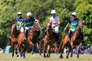 Los hermanos Castagnola, Barto y Camilo, llevan pocos años en la Triple Corona, pero con una alta efectividad