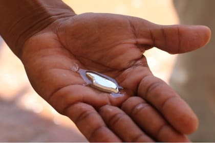 Los hermanos de la menor están internados con los mismos síntomas