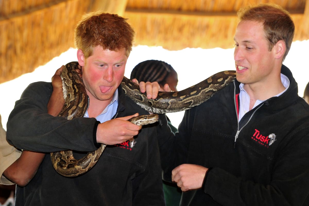 Los hijos de Carlos de Gales y Lady Di