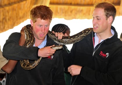 A fines de 2019 Harry admitió el distanciamiento con William: "Seguimos por caminos diferentes"