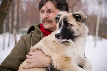 Los hombres que aparecen con perros en sus fotos en aplicaciones de citas tienen más probabilidades de estar buscando algo a largo plazo (Foto ilustrativa: PIXABAY)