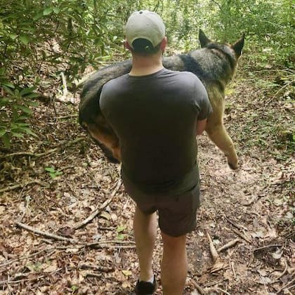 Los hombres se turnaron para bajar al perro.
