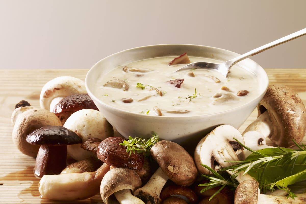 Los hongos le dan un sabor especial a distintas preparaciones culinarias.