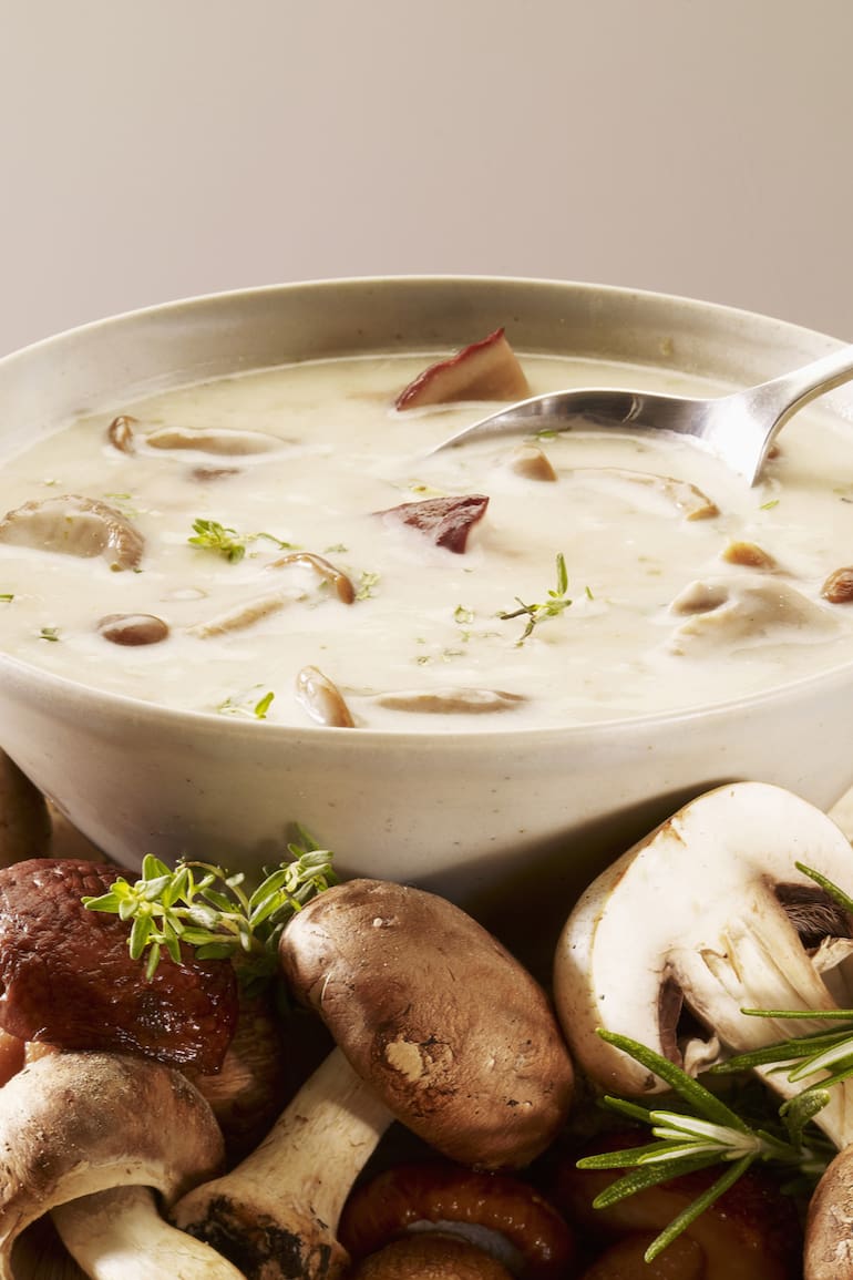 Los hongos le dan un sabor especial a distintas preparaciones culinarias.