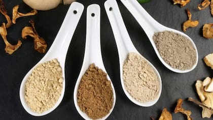 Los hongos medicinales son extractos que se venden como suplementos o polvos