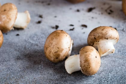 Los hongos son bajos en calorías y grasas pero muy altos en nutrientes